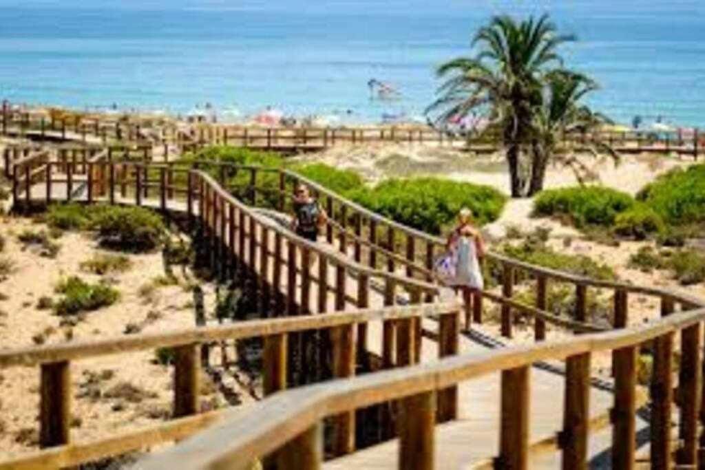Apartamentos Full Equipped Elche Eksteriør billede