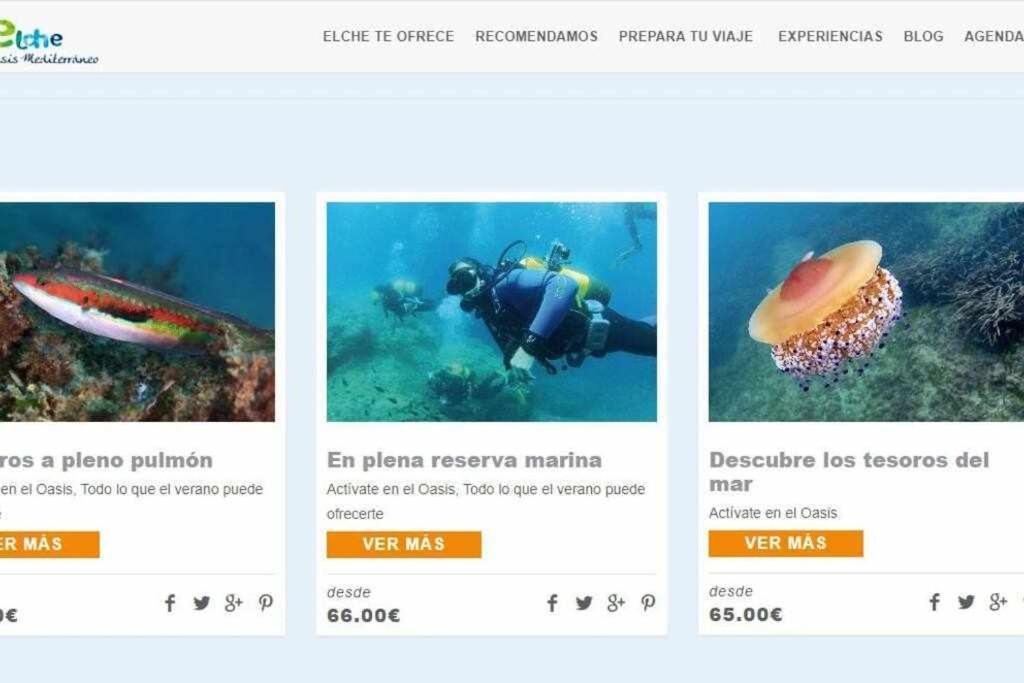 Apartamentos Full Equipped Elche Eksteriør billede
